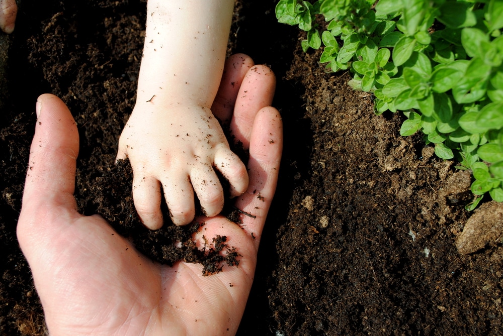 Garden Soil