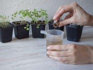 Unlocking the Benefits of Fish Emulsion  Fertilizer