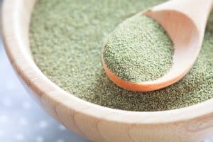 Kelp Fertilizer
